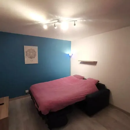 Appartement Studio Coeur De Rijsel